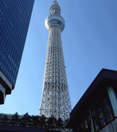 e0145364_20384827.gif