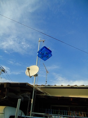 e0002466_185613.jpg