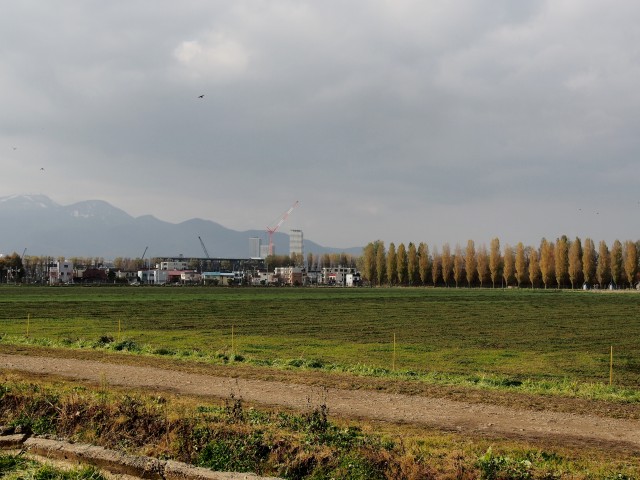 c0183777_16501235.jpg