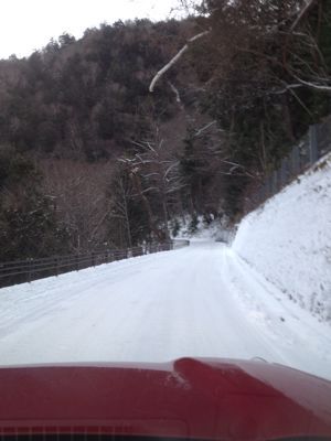 f0306678_183219.jpg