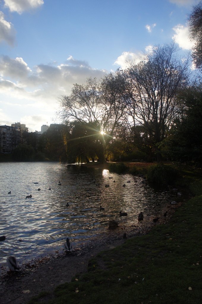 c0180686_2273113.jpg