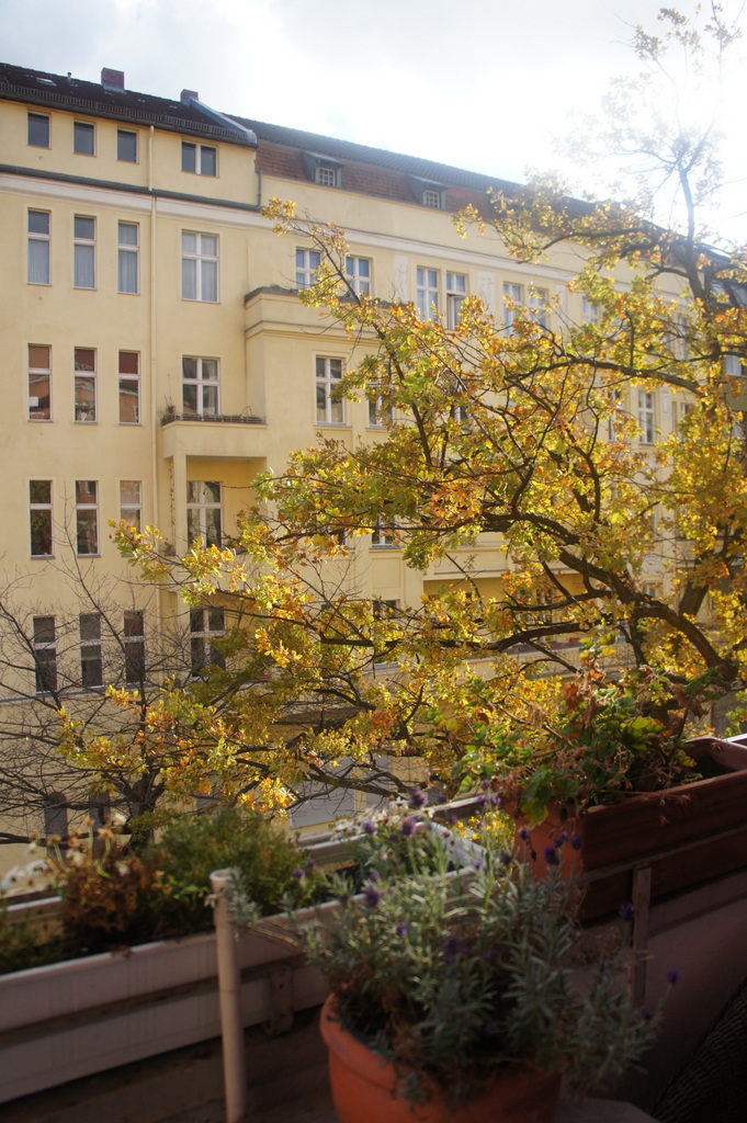 c0180686_227735.jpg