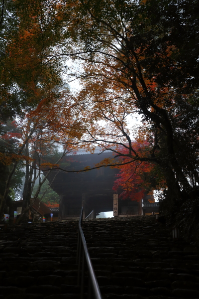 神護寺_e0051888_2152327.jpg