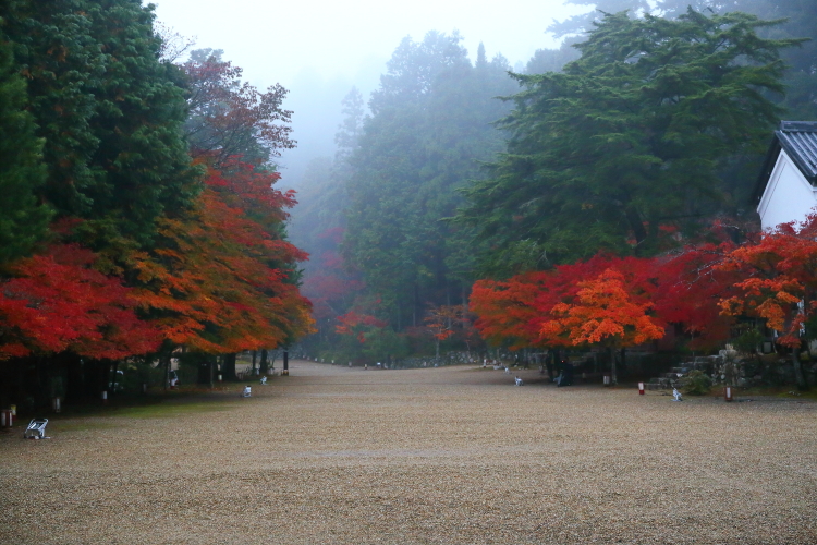 神護寺_e0051888_21525473.jpg