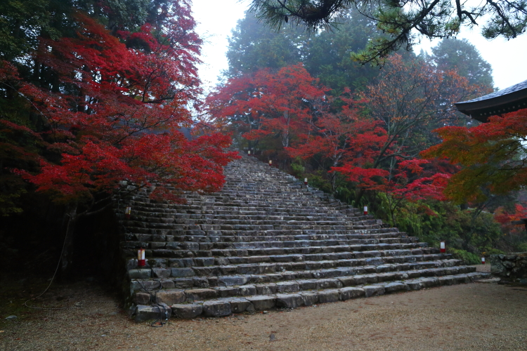 神護寺_e0051888_21531766.jpg