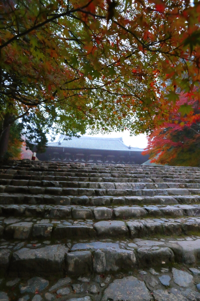 神護寺_e0051888_21533230.jpg