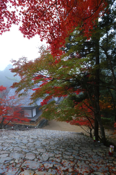 神護寺_e0051888_21534737.jpg
