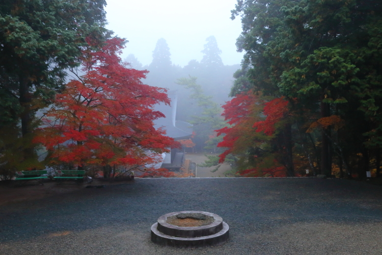 神護寺_e0051888_21542974.jpg