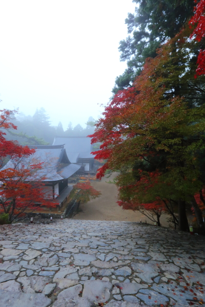 神護寺_e0051888_2154329.jpg