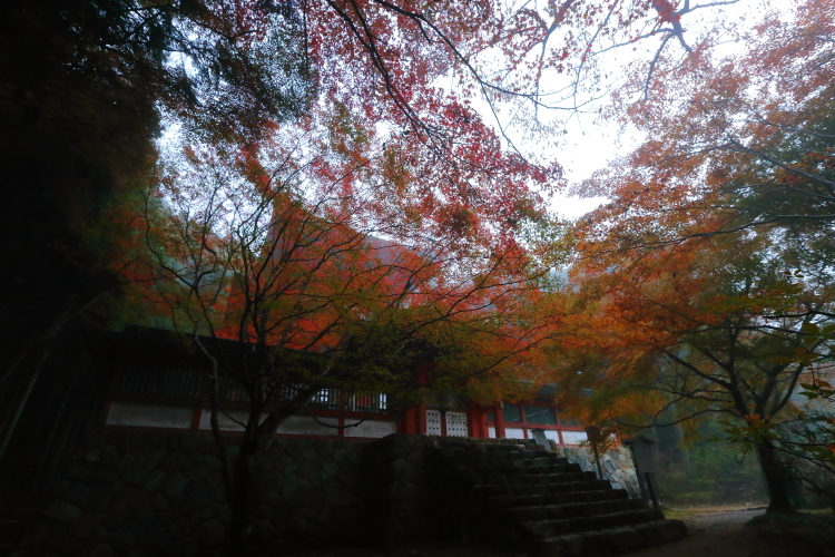 神護寺_e0051888_21545156.jpg