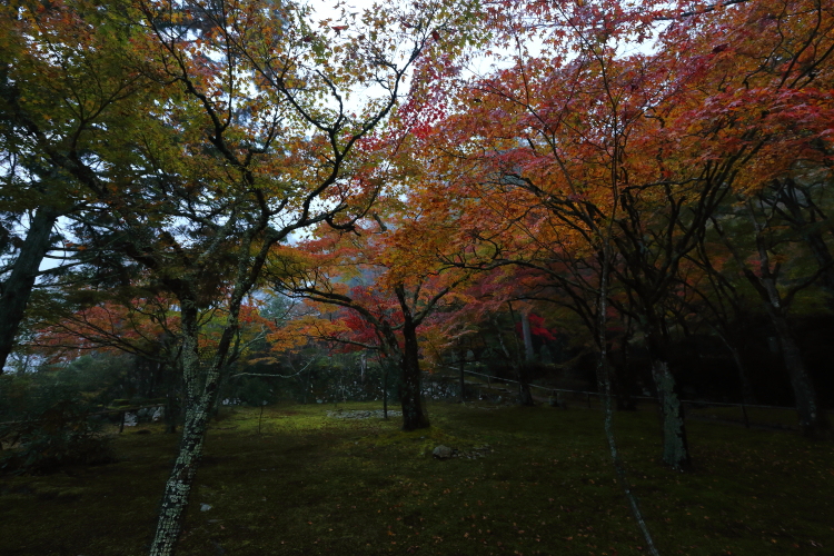 神護寺_e0051888_2155101.jpg