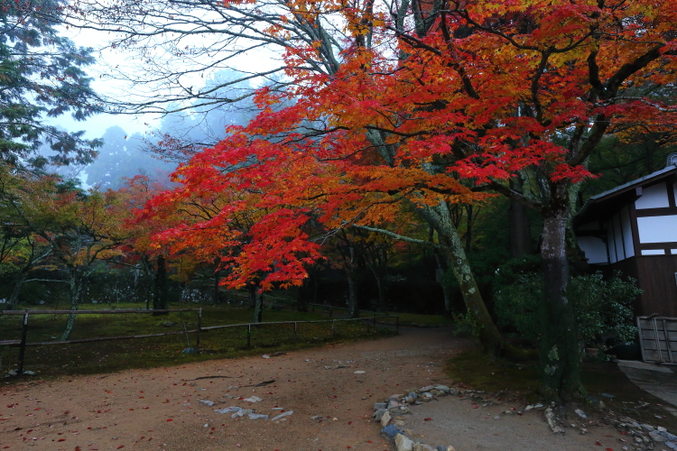 神護寺_e0051888_21553927.jpg