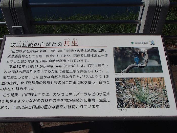 a0104495_113181.jpg