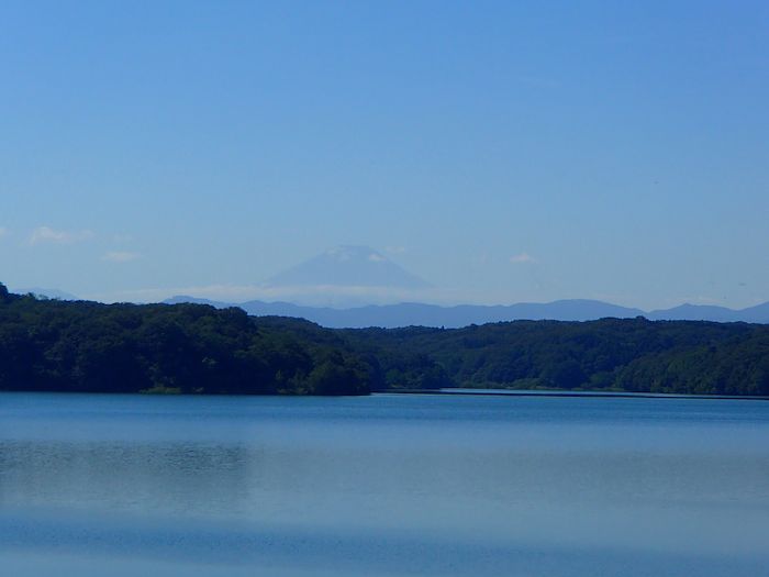 a0104495_1221746.jpg