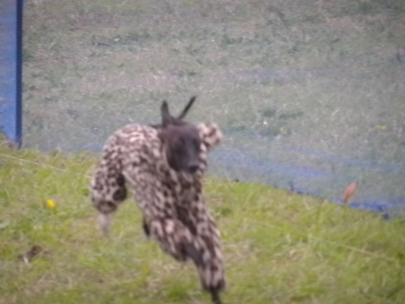 a0284997_20385086.jpg