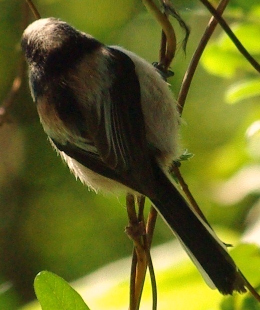 b0028598_18384516.jpg