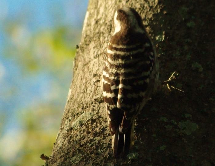 b0028598_18391846.jpg
