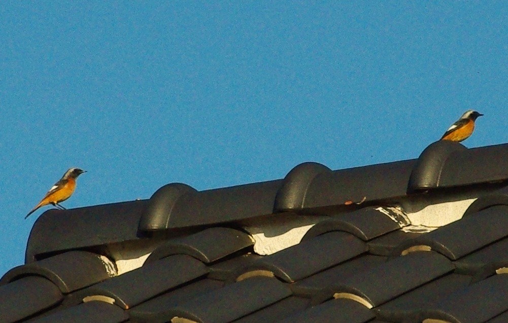 b0028598_18402622.jpg
