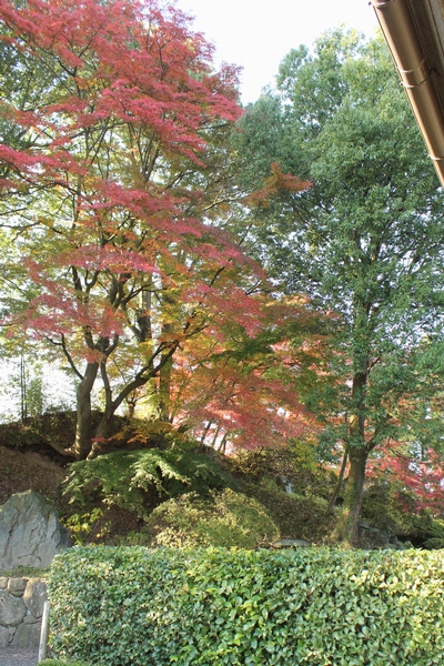 d0069498_14473029.jpg