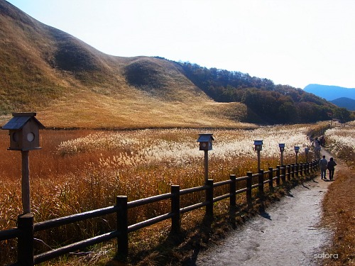 e0248598_21105437.jpg
