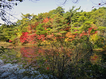 b0108100_1611717.gif