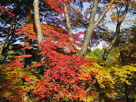 b0108100_1613627.gif