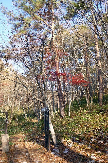 e0137200_18304917.jpg