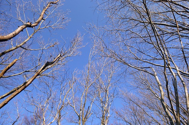 e0137200_18322237.jpg