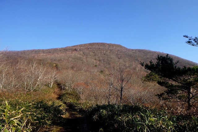 e0137200_18324360.jpg