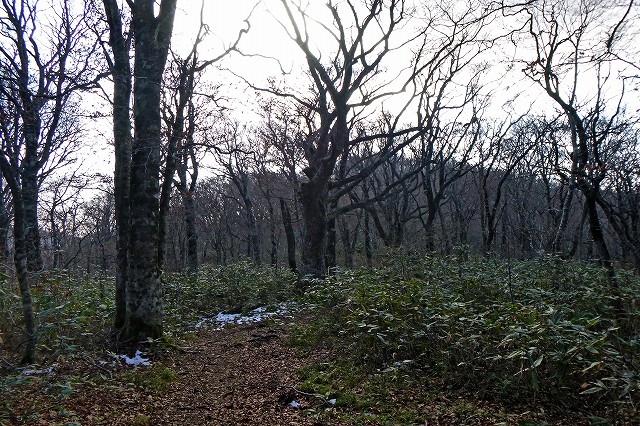 e0137200_18372013.jpg