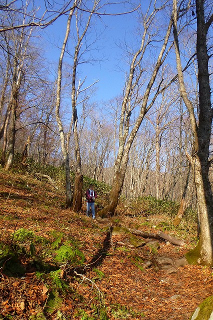 e0137200_18375390.jpg