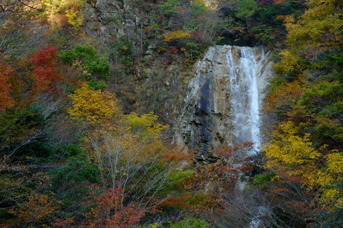 紅葉の鈴鹿・釈迦ヶ岳①_e0304001_21215881.jpg