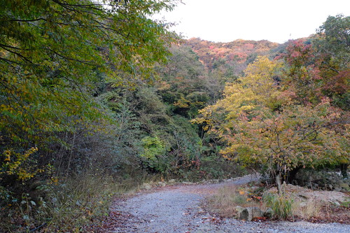 紅葉の鈴鹿・釈迦ヶ岳①_e0304001_21244912.jpg