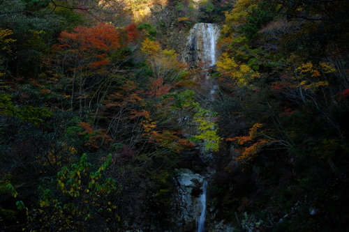 紅葉の鈴鹿・釈迦ヶ岳①_e0304001_21333556.jpg