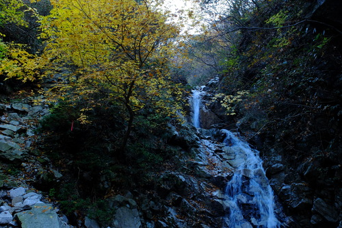 e0304001_21445995.jpg