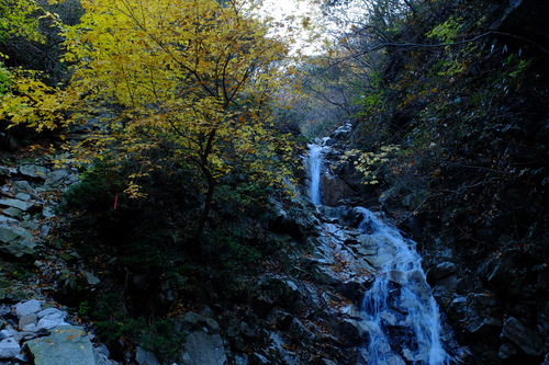 紅葉の鈴鹿・釈迦ヶ岳①_e0304001_21445995.jpg