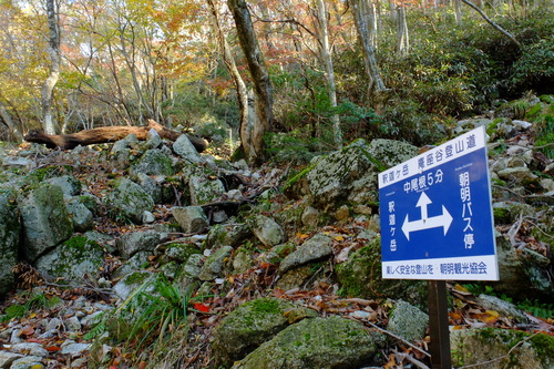 e0304001_2150572.jpg