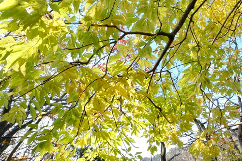 e0304001_2153504.jpg