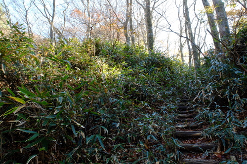 e0304001_21561284.jpg