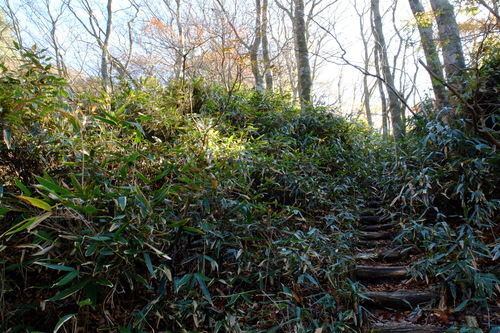 紅葉の鈴鹿・釈迦ヶ岳①_e0304001_21561284.jpg