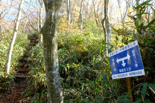 e0304001_2158286.jpg