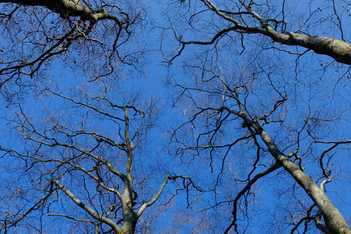 e0304001_2204213.jpg