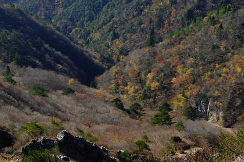 紅葉の鈴鹿・釈迦ヶ岳①_e0304001_2223355.jpg