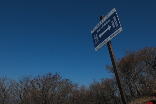 e0304001_2261682.jpg