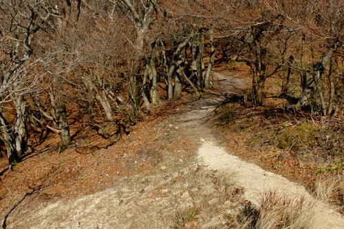 e0304001_2274735.jpg