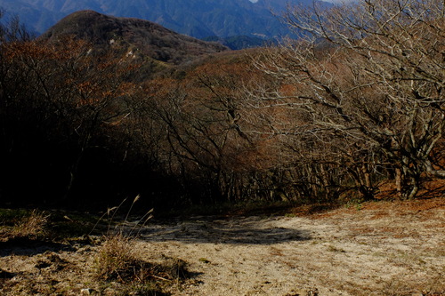 紅葉の鈴鹿・釈迦ヶ岳①_e0304001_229468.jpg