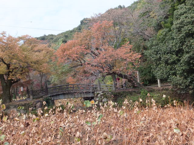 a0271502_1636636.jpg