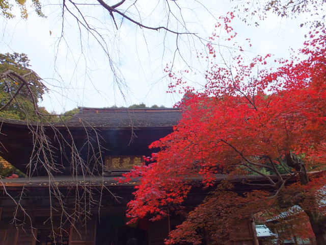 a0271502_16454124.jpg