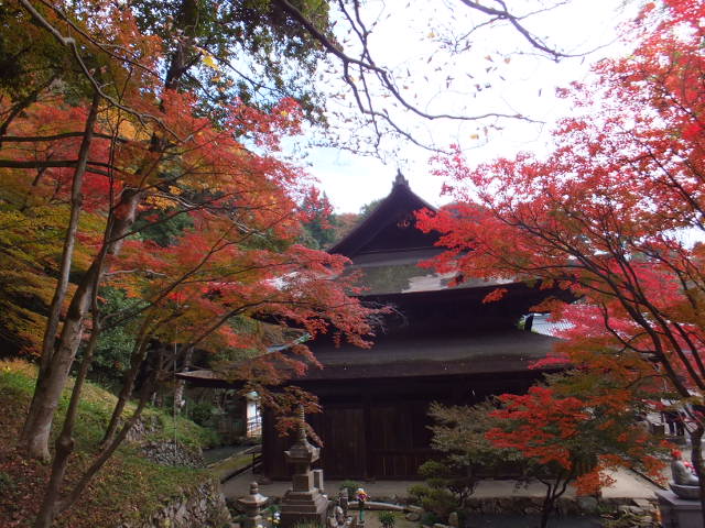a0271502_1654927.jpg