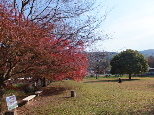 a0271502_1720034.jpg
